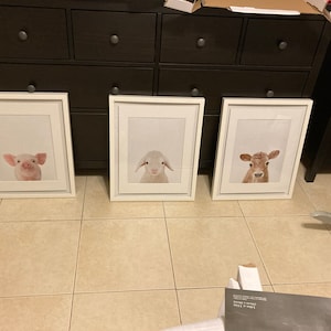 Yiret added a photo of their purchase