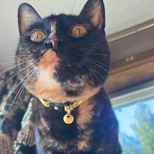 Ivy added a photo of their purchase