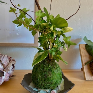 Comprador de Etsy ha añadido una foto de su compra