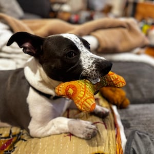Bo added a photo of their purchase