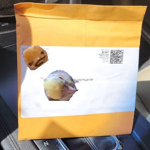 Isabella added a photo of their purchase