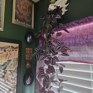 Sarah added a photo of their purchase