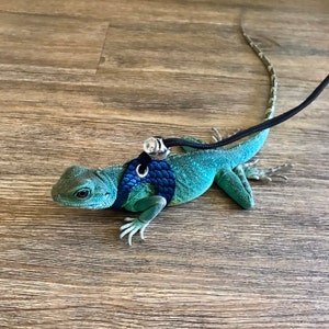Chinese water dragon leash sales