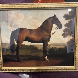 sjkelly added a photo of their purchase