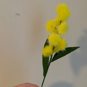Annica heeft een foto van de aankoop toegevoegd