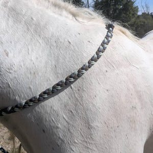 Melissa added a photo of their purchase