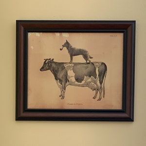 Rachel added a photo of their purchase