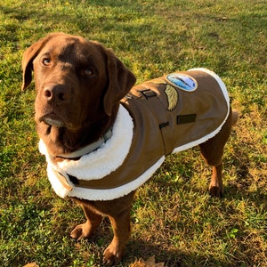 Dog aviator jacket sale