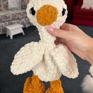 Rachel added a photo of their purchase