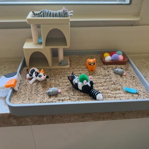 Amie added a photo of their purchase