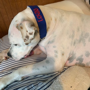 Belle added a photo of their purchase