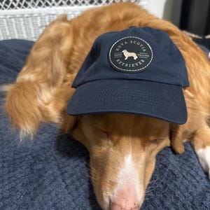 Haley dodał(a) zdjęcie swoich zakupów