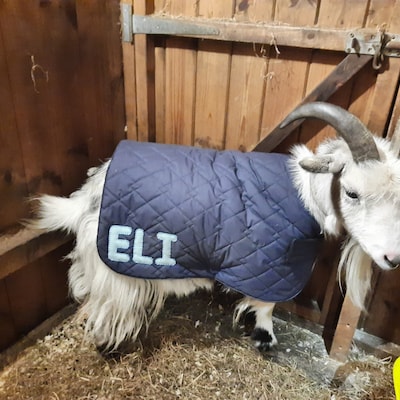 UV Resistance PVC Fabric Fireproof PVC Tarpaulin For Tent/Truck Cover