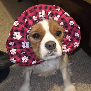 Constance added a photo of their purchase