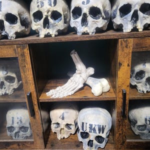 Phil ha añadido una foto de su compra