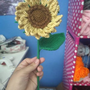 Abigail added a photo of their purchase