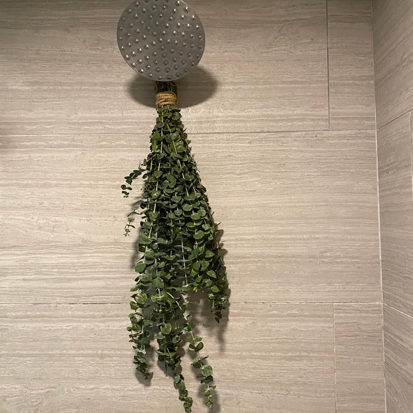 Fresh Eucalyptus Shower Bundle | Eucalyptus Plant | Fresh Eucalyptus ...