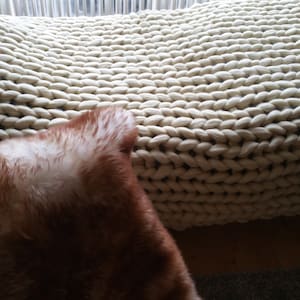 Joseph hat ein Foto des gekauften Artikels hinzugefügt