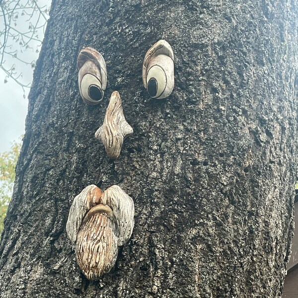 The ORIGINAL & GENUINE Mr. Grumpy Stump Tree Face Gift for Dad Fun ...
