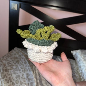 Kaylee added a photo of their purchase