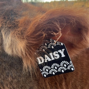 Courtlynn added a photo of their purchase