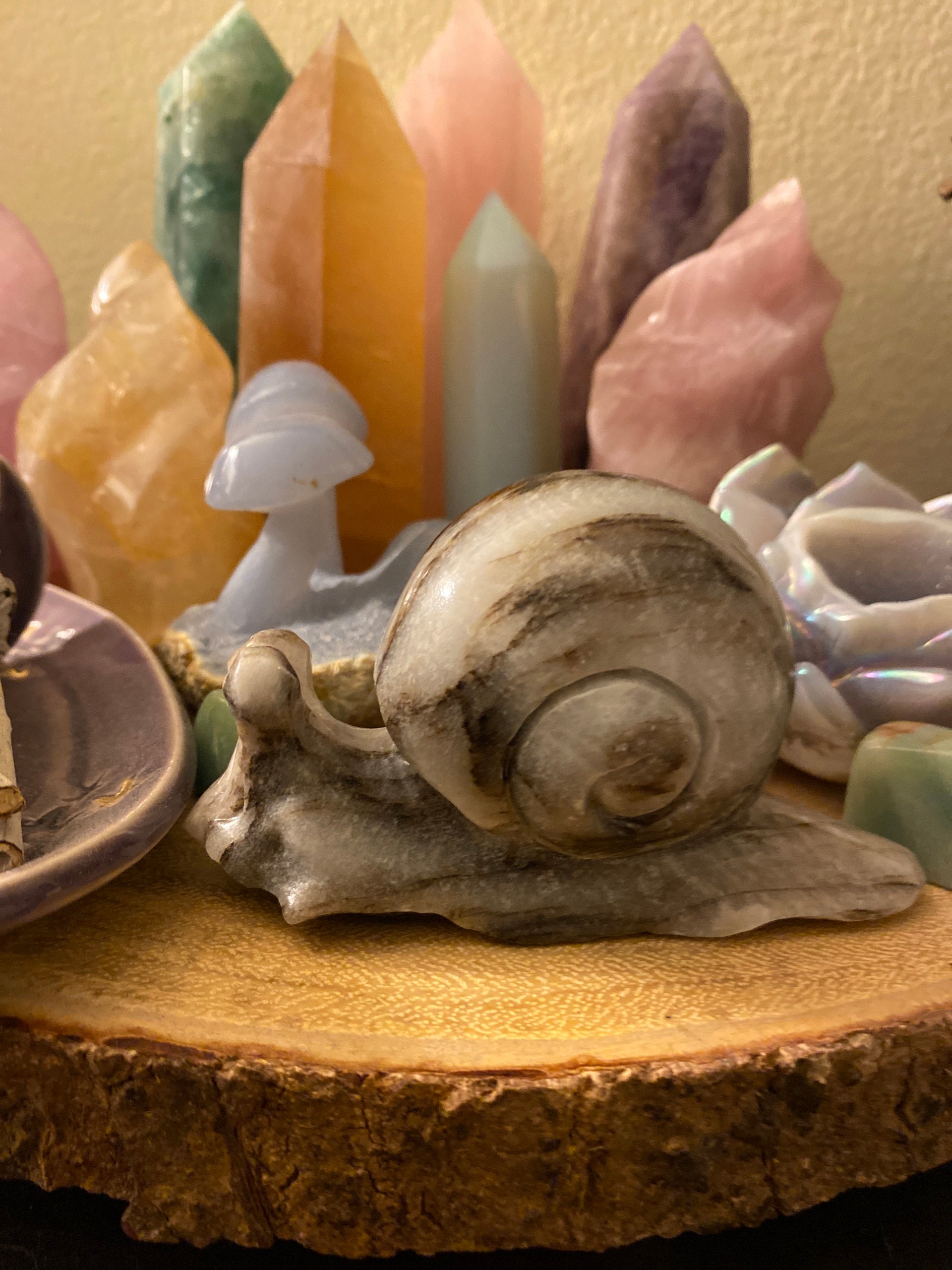 Beautiful Jade Snail, Protection Stone