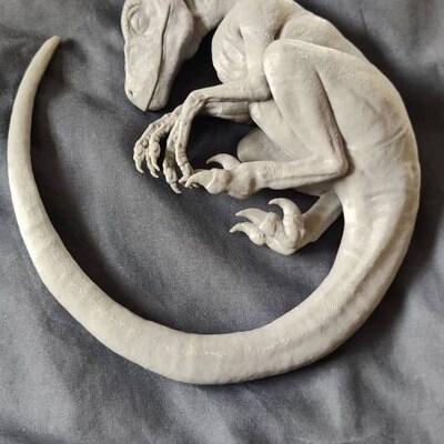 Sleeping Baby Velociraptor Art Dinosaur 3D Printed Multiple Colours ...