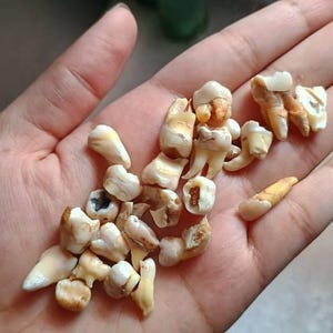 Gabrielle さんが購入した商品の写真を追加しました