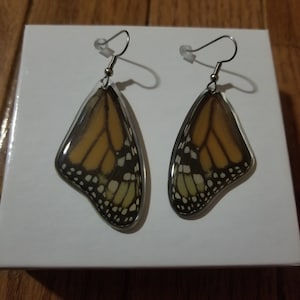 Real Butterfly Wing Forewing Monarch Butterfly Wing Earrings