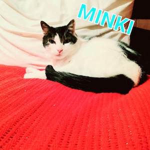 Gina さんが購入した商品の写真を追加しました
