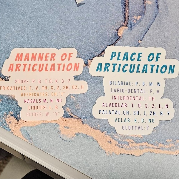 Place of Articulation Speech Therapy Glossy Sticker - Etsy