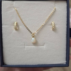 Sharky added a photo of their purchase