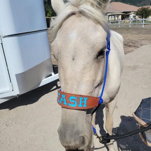 Kelly ha aggiunto una foto del proprio acquisto