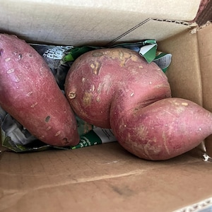 Lynn heeft een foto van de aankoop toegevoegd