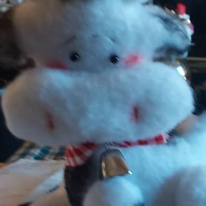 Darlene dodał(a) zdjęcie swoich zakupów