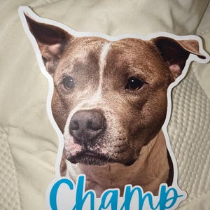 Ashley added a photo of their purchase