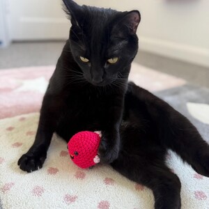 Zoe ha añadido una foto de su compra