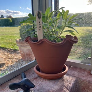 Rachel added a photo of their purchase