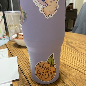 Paula added a photo of their purchase