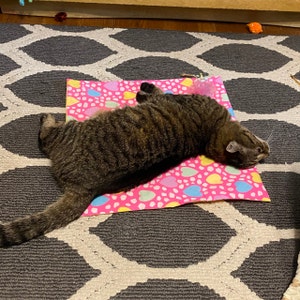 Sarah added a photo of their purchase