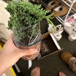 J added a photo of their purchase