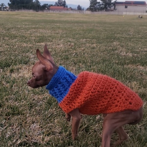 Crochet Warm Sweaters for Dogs: Easy and Cozy Dog Sweaters Crochet Patterns:  Crochet Sweaters for Dogs: JOSHUA, Mr FEALING: 9798755356602: :  Books