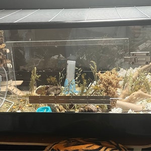 Blayd added a photo of their purchase