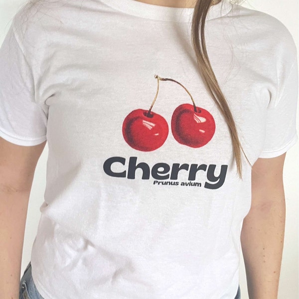 Yael Cropped Crewneck Baby Tee in Tobacco main image 0