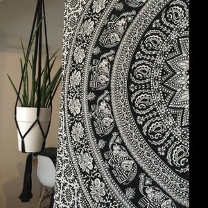 Marye added a photo of their purchase