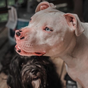 Tiffany added a photo of their purchase