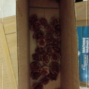 Etsy buyer added a photo of their purchase