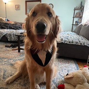 Angie ha añadido una foto de su compra