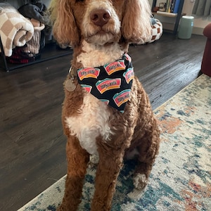 Chloe added a photo of their purchase