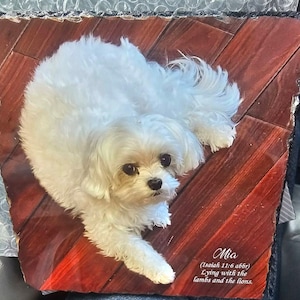 Katrin added a photo of their purchase